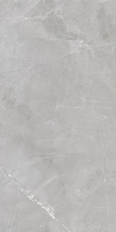Luxury Amani Grey Matte 12 x 24